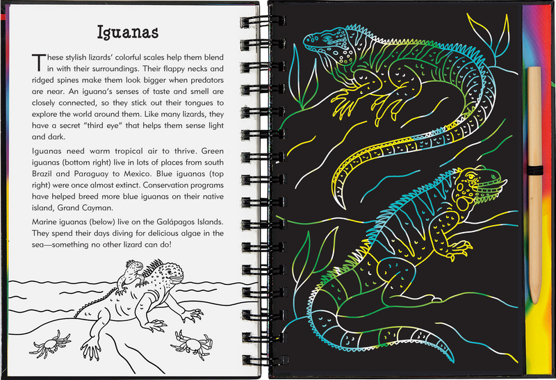 Reptiles & Amphibians Scratch and Sketch