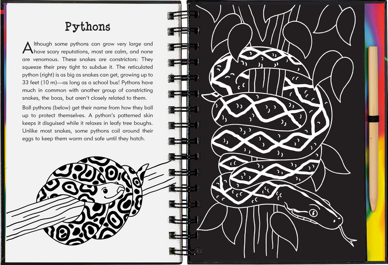 Reptiles & Amphibians Scratch and Sketch