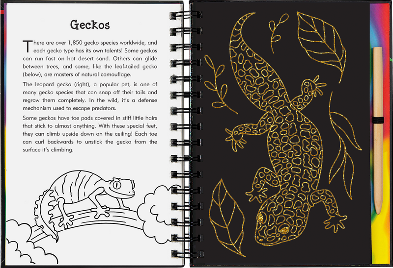 Reptiles & Amphibians Scratch and Sketch