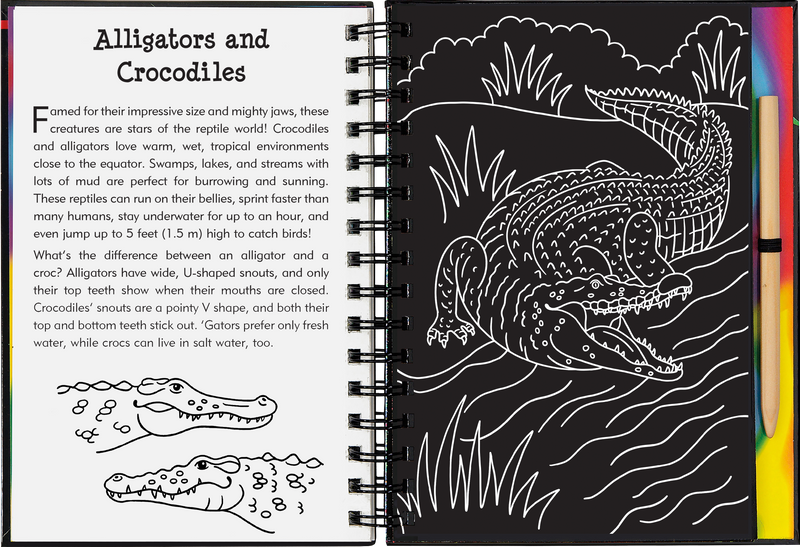 Reptiles & Amphibians Scratch and Sketch