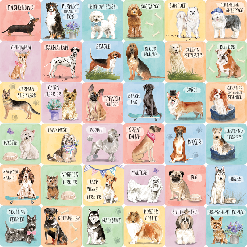 Dogs Memory Match Game (Set of 72 cards)