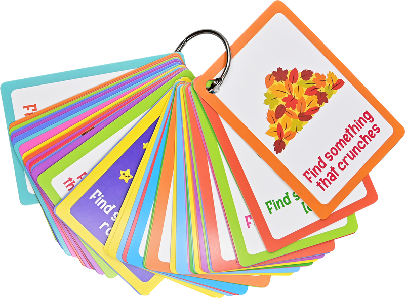 Seek-and-Find Scavenger Hunt Card Pack