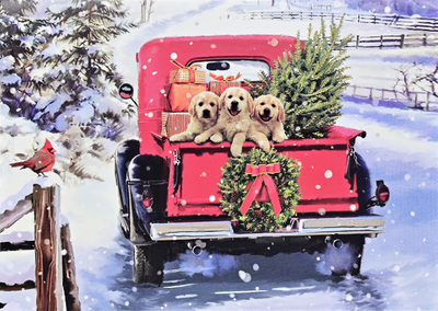 Bringing Home the Tree Deluxe Boxed Holiday Cards
