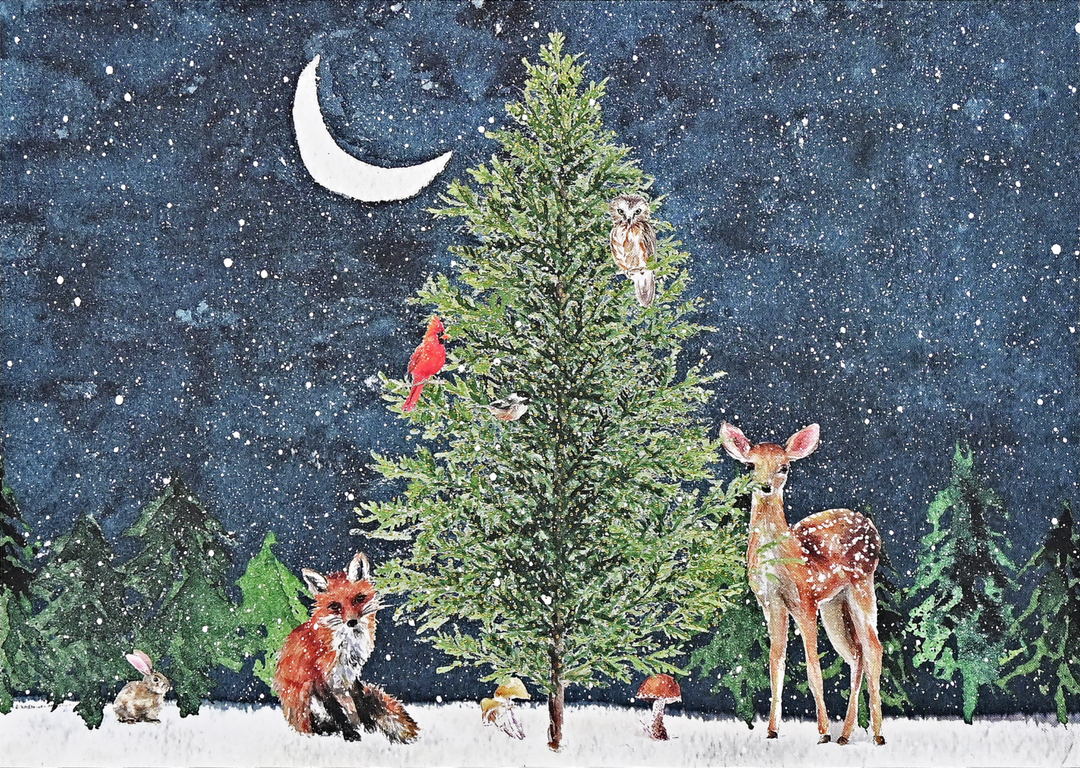 Moonlit Forest Friends Deluxe Boxed Holiday Cards – Peter Pauper Press