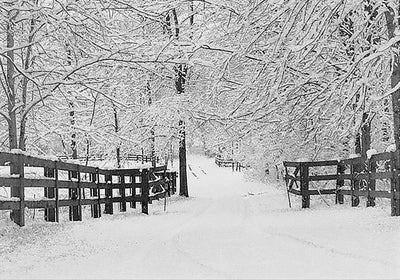 Winter Tracks